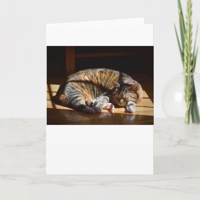 Långsamma dagar, kort (Framsida)