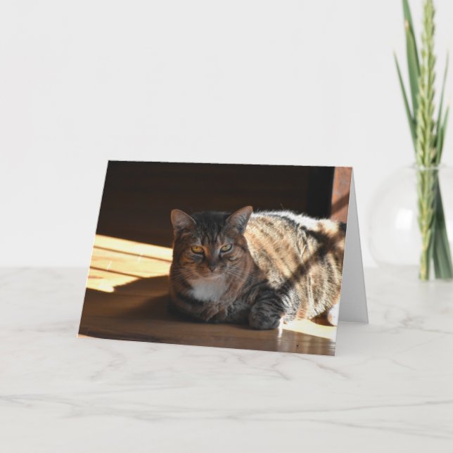 Långsamma dagar, kort (Framsida)