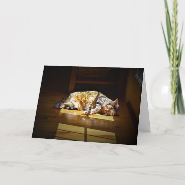 Långsamma dagar, kort (Framsida)