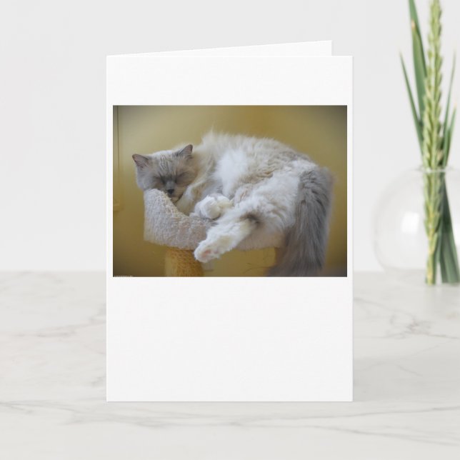 Långsamma dagar, kort (Framsida)