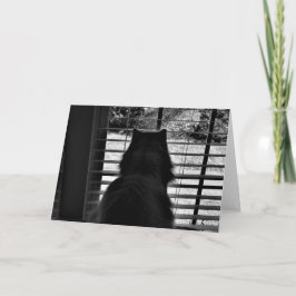 Långsamma dagar, kort