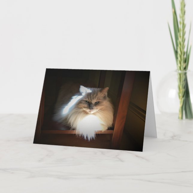 Långsamma dagar, kort (Framsida)