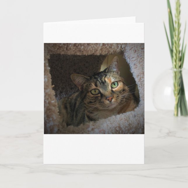 Långsamma dagar, kort (Framsida)