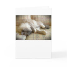 Långsamma dagar, kort