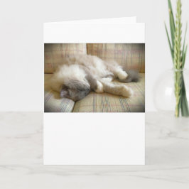 Långsamma dagar, kort