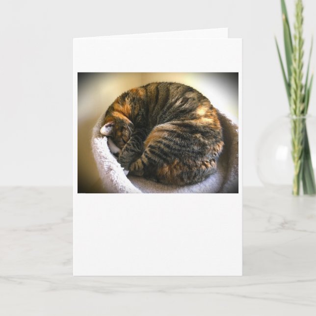 Långsamma dagar, kort (Framsida)