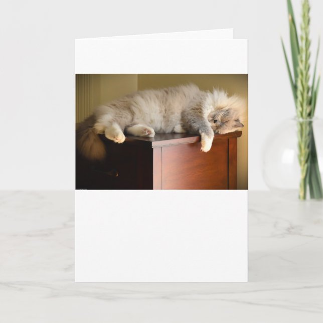 Långsamma dagar, kort (Framsida)