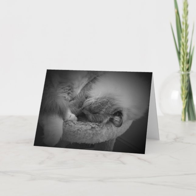 Långsamma dagar, kort (Framsida)