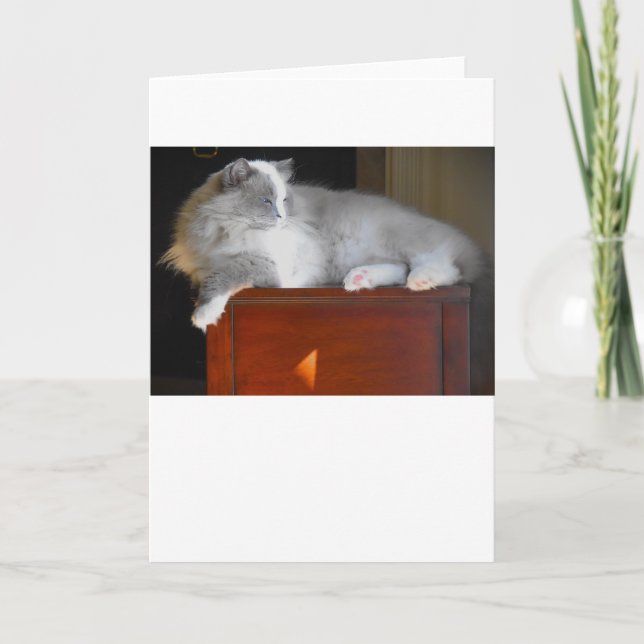 Långsamma dagar, kort (Framsida)