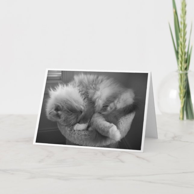 Långsamma dagar, kort (Framsida)