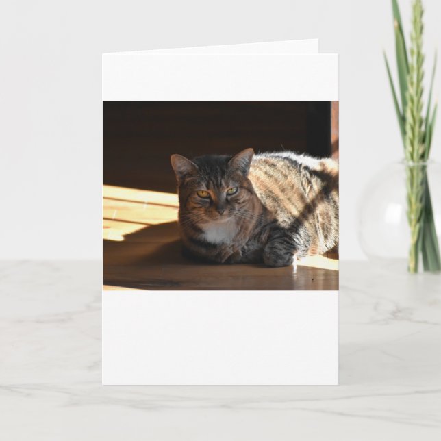 Långsamma dagar, kort (Framsida)