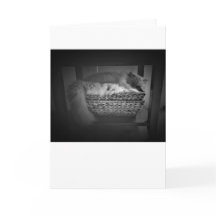 Långsamma dagar, kort