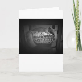 Långsamma dagar, kort