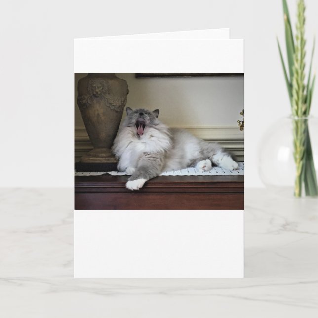 Långsamma dagar, kort (Framsida)