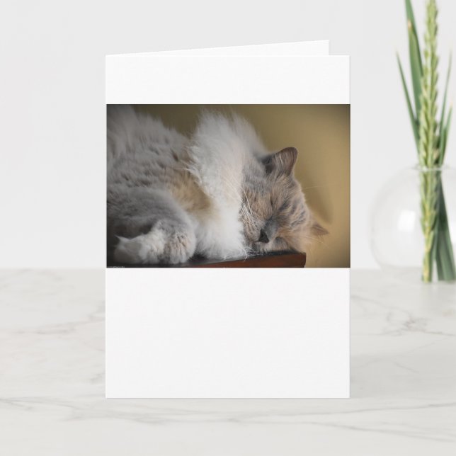 Långsamma dagar, kort (Framsida)