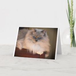 Långsamma dagar, kort