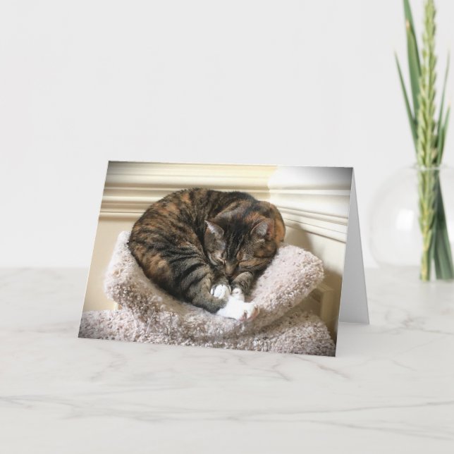 Långsamma dagar, kort (Framsida)