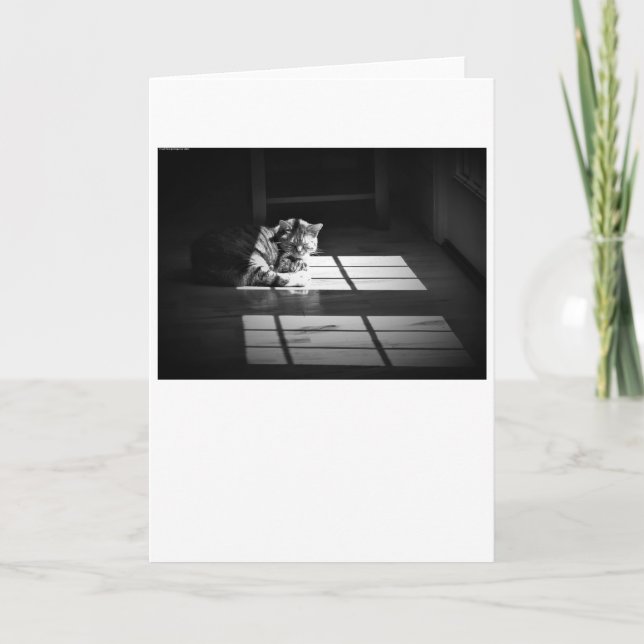 Långsamma dagar, kort (Framsida)