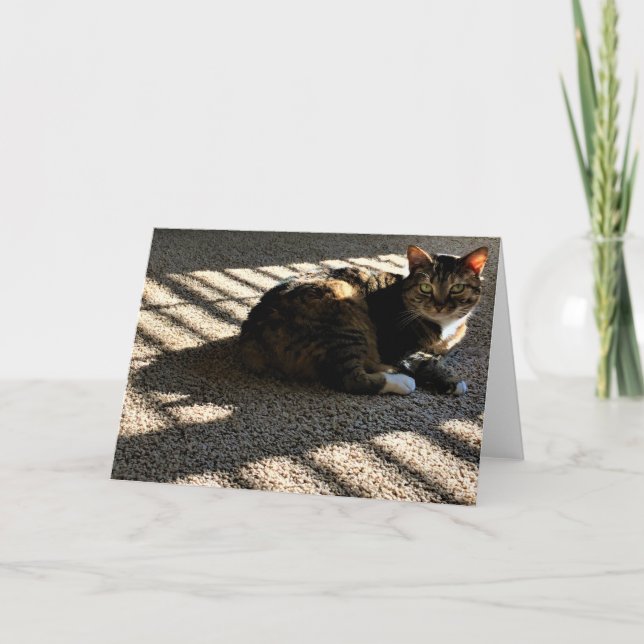 Långsamma dagar, kort (Framsida)