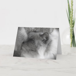 Långsamma dagar, kort