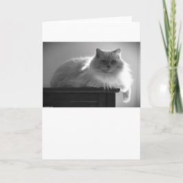 Långsamma dagar, kort