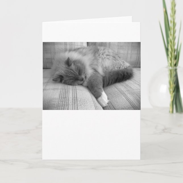 Långsamma dagar, kort (Framsida)