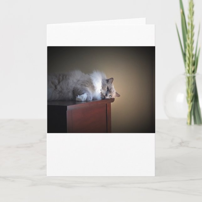 Långsamma dagar, kort (Framsida)