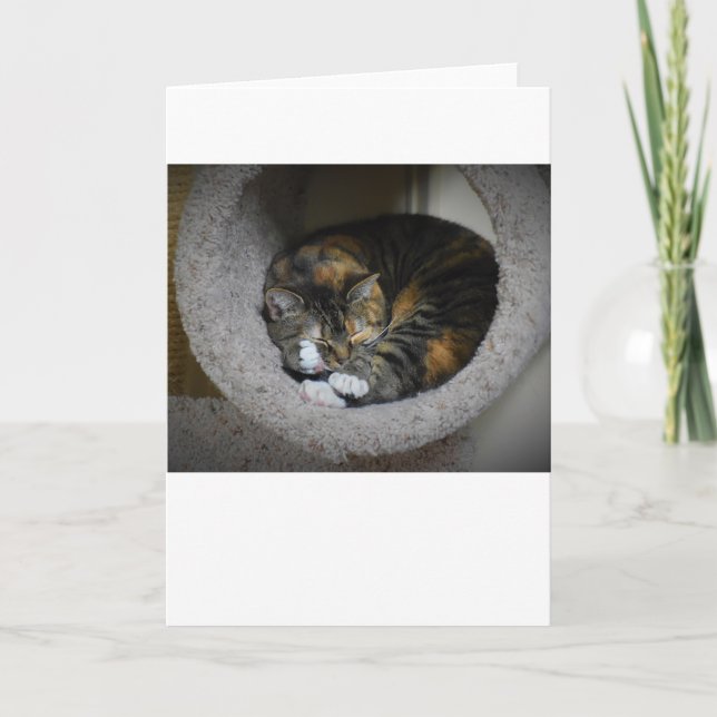 Långsamma dagar, kort (Framsida)