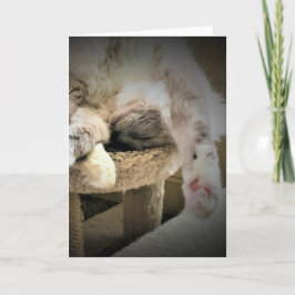 Långsamma dagar, kort