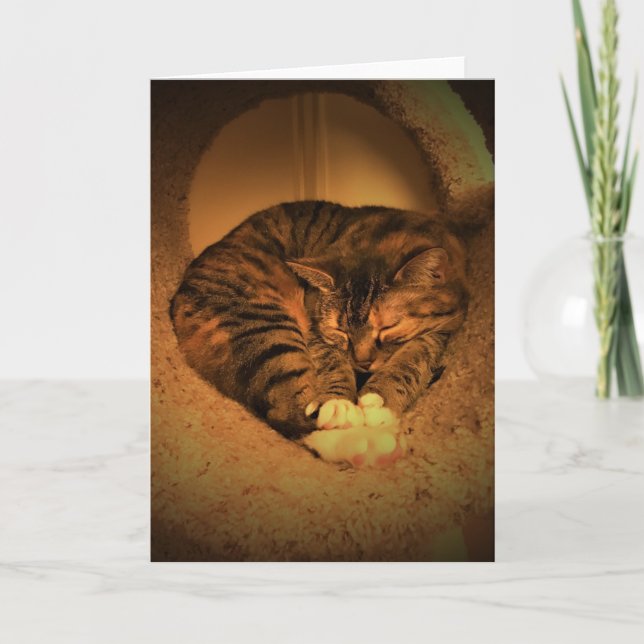 Långsamma dagar, kort (Framsida)