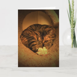 Långsamma dagar, kort