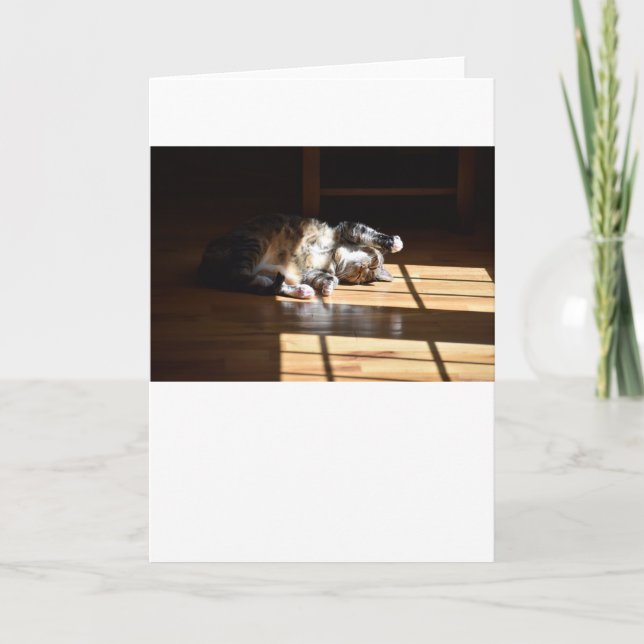 Långsamma dagar, kort (Framsida)