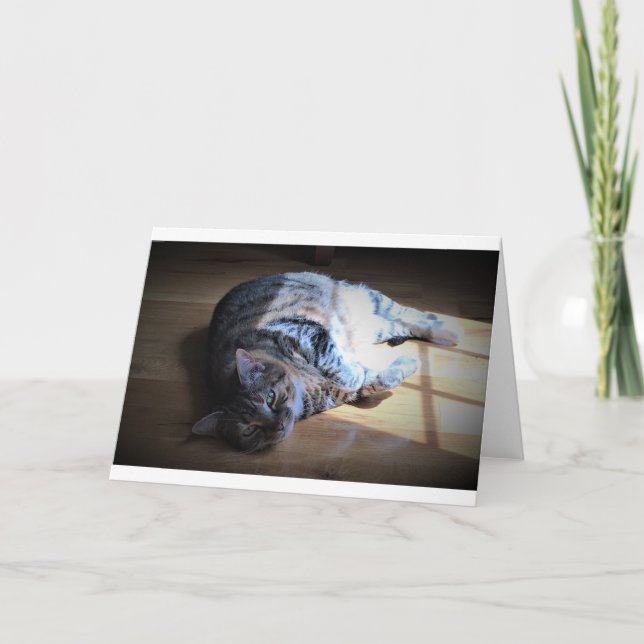 Långsamma dagar, kort (Framsida)