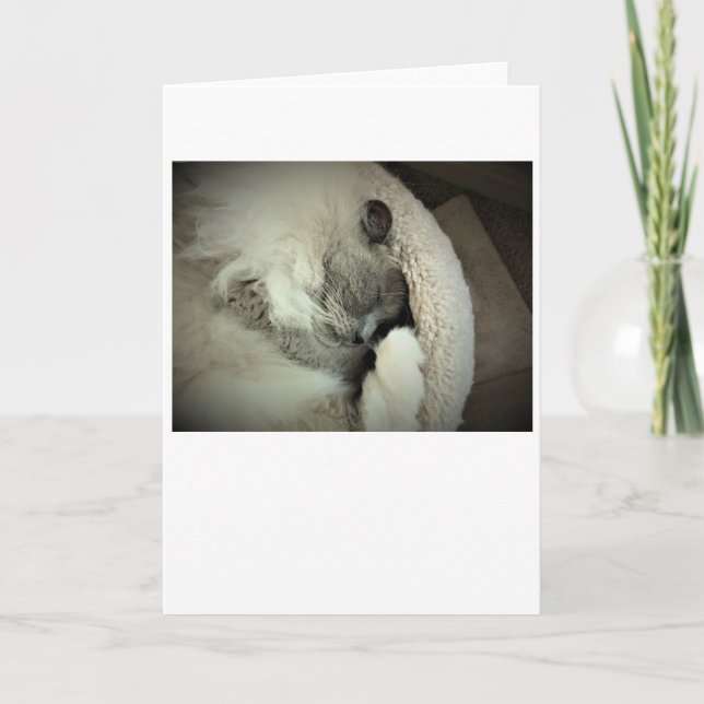 Långsamma dagar, kort (Framsida)