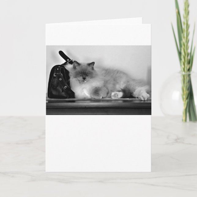 Långsamma dagar, kort (Framsida)