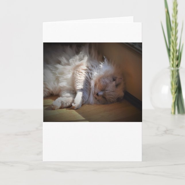 Långsamma dagar, kort (Framsida)