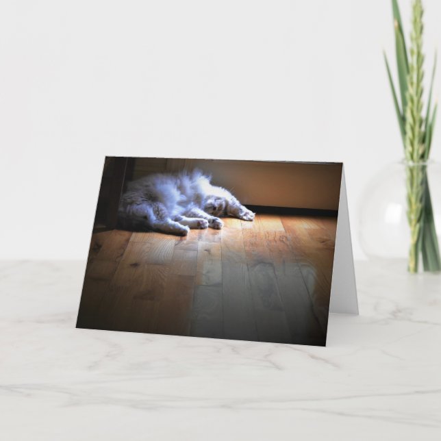 Långsamma dagar, kort (Framsida)