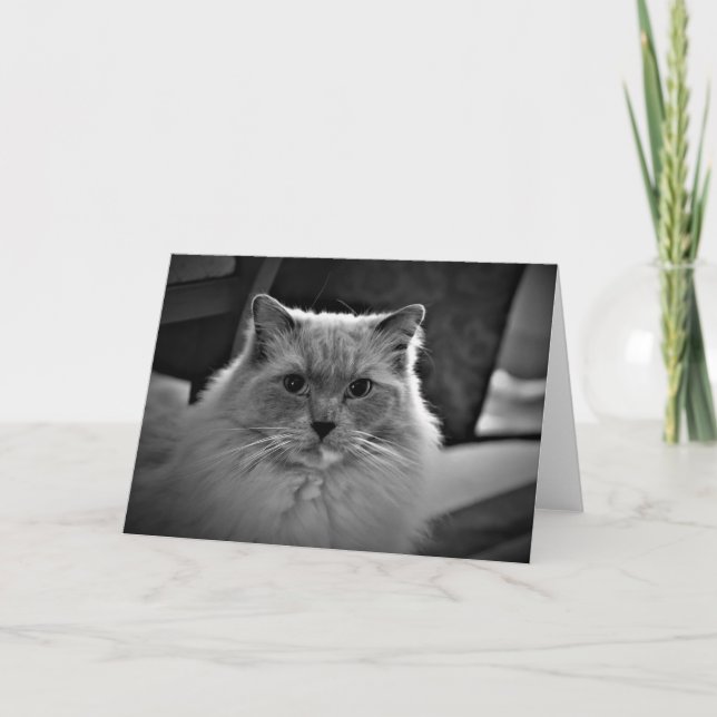 Långsamma dagar, kort (Framsida)