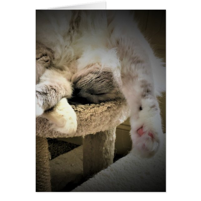 Långsamma dagar, kort (Framsidan)