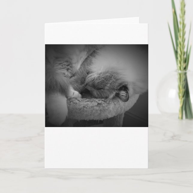 Långsamma dagar, kort (Framsida)