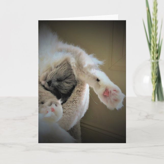 Långsamma dagar, kort (Framsida)