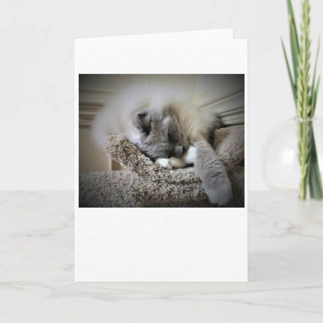 Långsamma dagar, kort (Framsida)