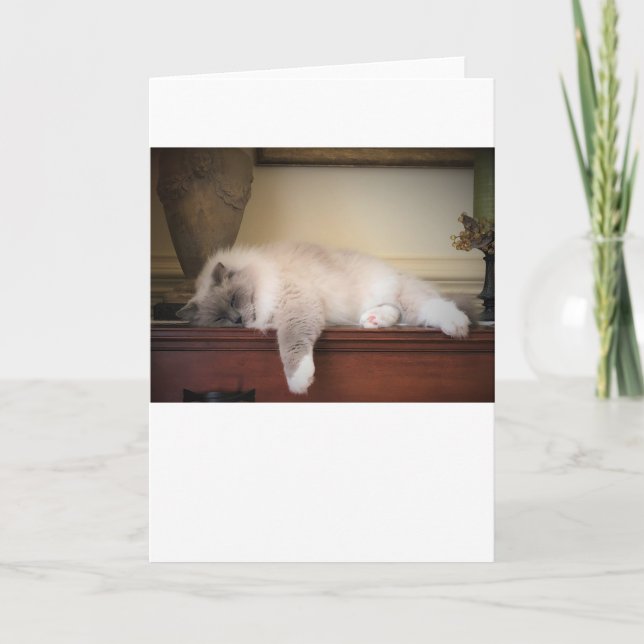 Långsamma dagar, kort (Framsida)