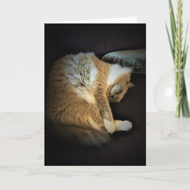 Långsamma dagar, kort (Framsida)