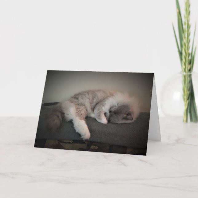 Långsamma dagar, kort (Framsida)