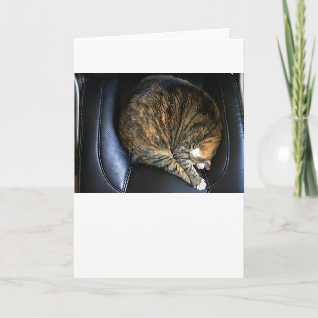 Långsamma dagar, kort (Framsida)