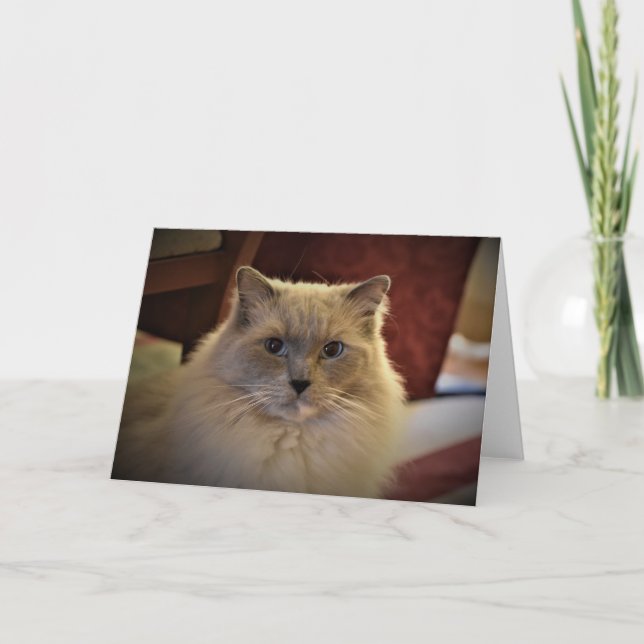 Långsamma dagar, kort (Framsida)