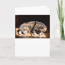 Långsamma dagar, kort