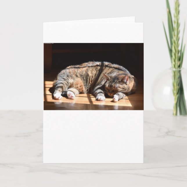 Långsamma dagar, kort (Framsida)