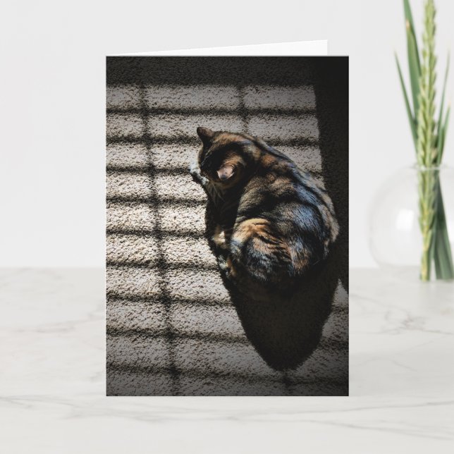 Långsamma dagar, kort (Framsida)